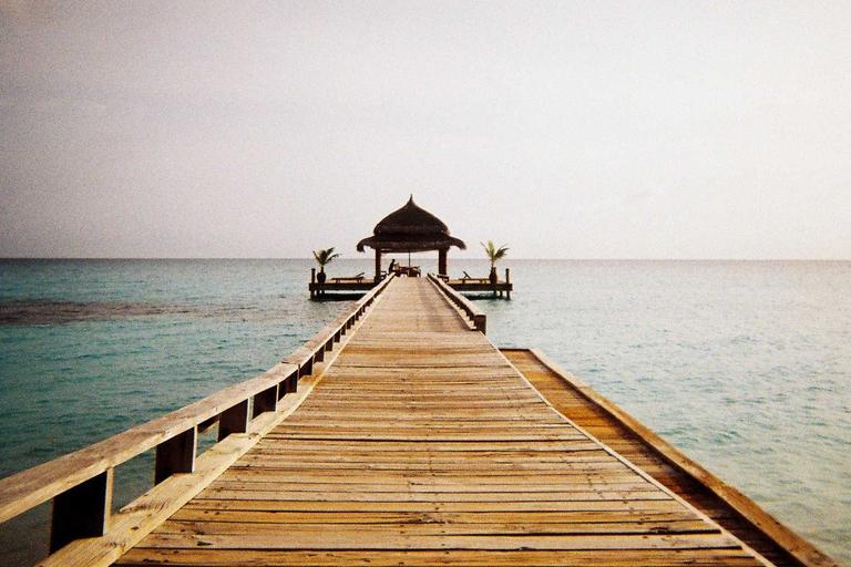 LA28 Chief Under Probe for Epstein Links