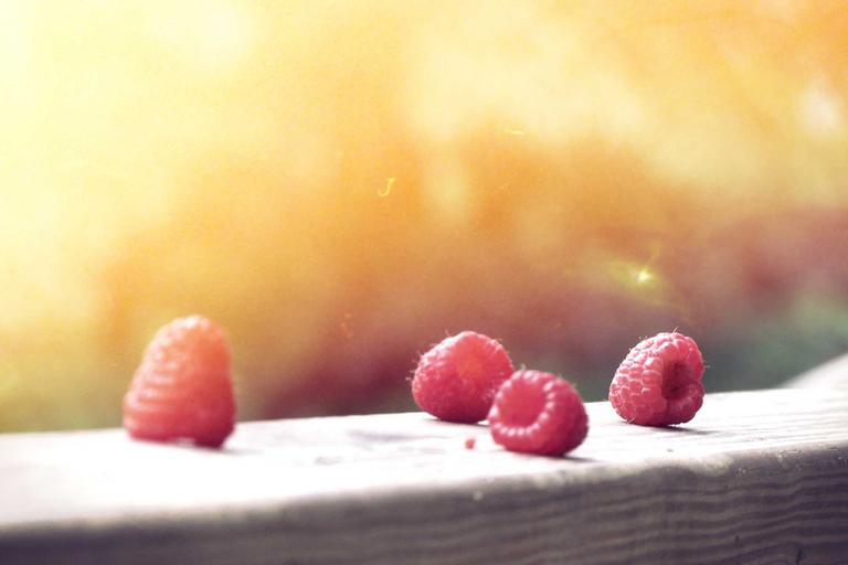 Tabung Haji Melancarkan Sistem Giliran Digital Secara Nasional