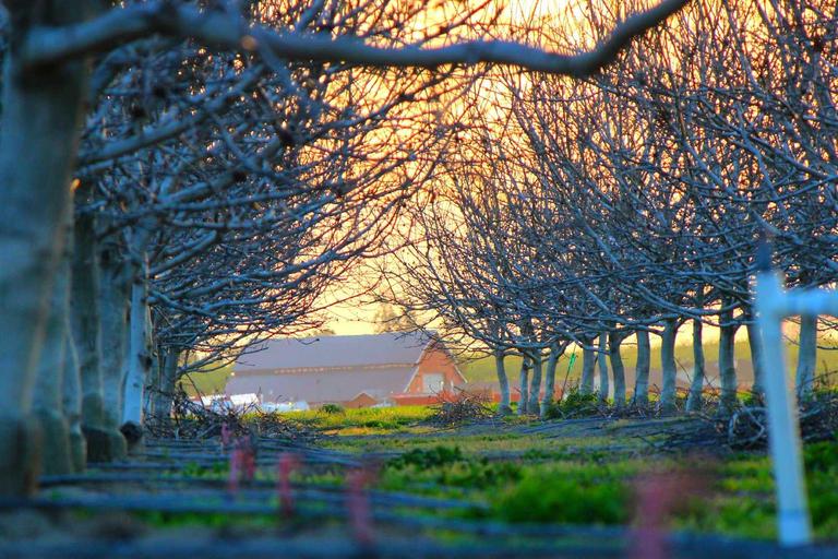 Amaran Ribut Petir Melanda KL, Selangor dan Lapan Negeri