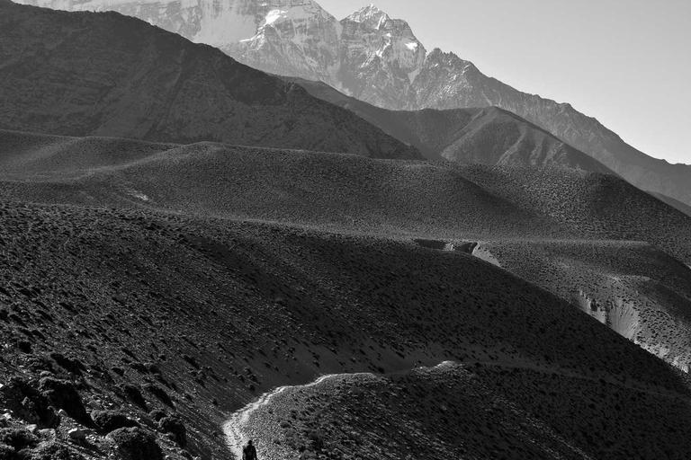 FBI Siasat Bekas Ketua Counter-Terrorism Atas Kebocoran