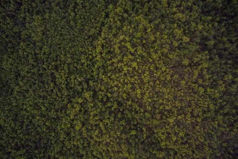 Pembiayaan Pertahanan Taiwan Terperangkap dalam Kekacauan Politik