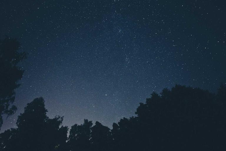 DBKL Dikenakan Denda RM820k Akibat Kematian Akibat Pohon Tumbang