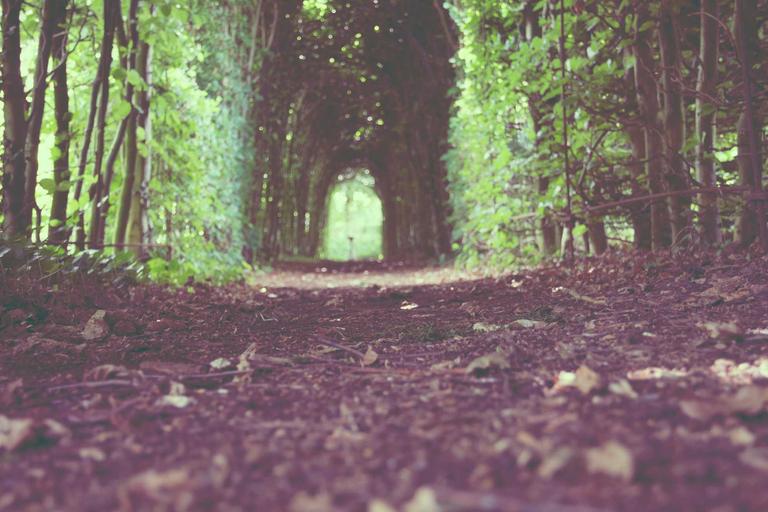 Labuan Corp Panggil Pelabur untuk Tapak Utama