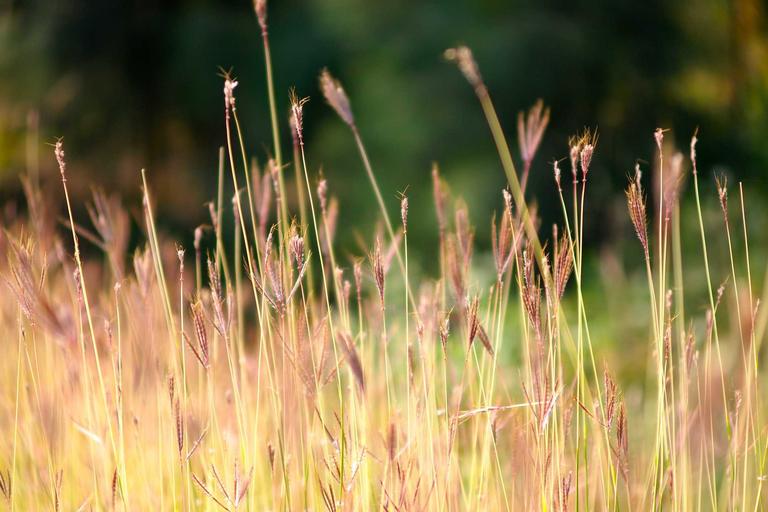 Ketegangan di Jerusalem Meningkat pada Ahad Palma