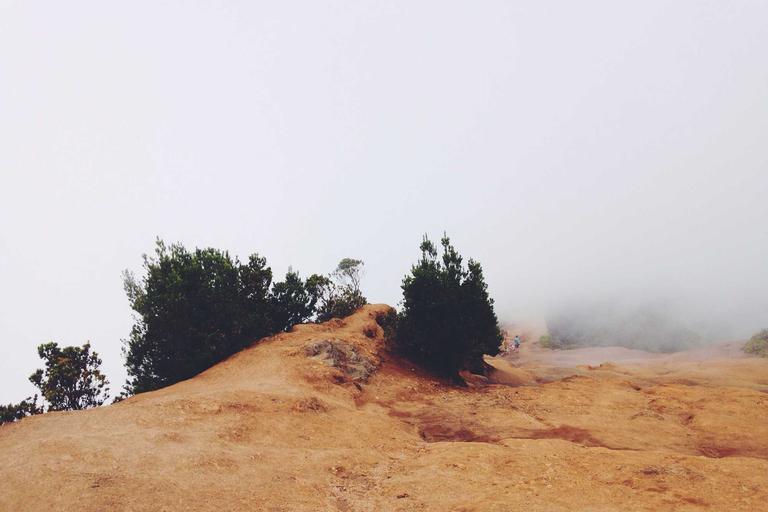 Kemitraan PH-BN: Tepi Pilihan Raya Pulau Pinang