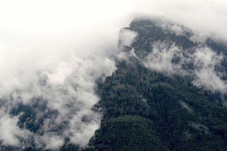 Savannah Guthrie Returns Amid Mother Search