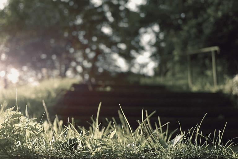 Ceasefire Sparks Sharp Oil Price Drop