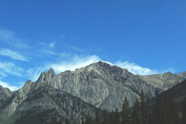 Samay Raina Bounces Back with Fresh Wit