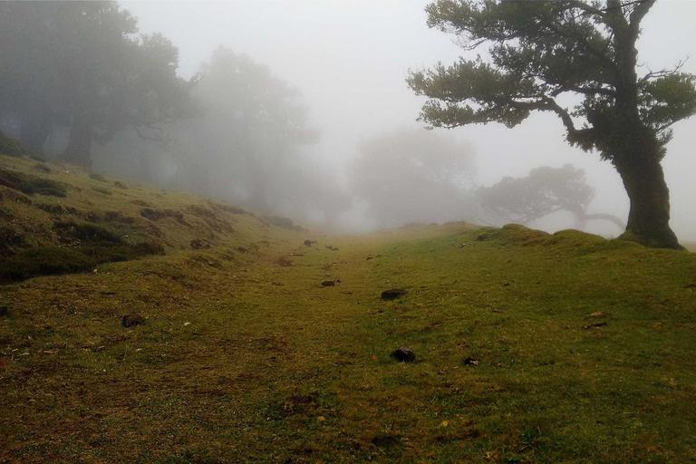 Padu Set to Power Malaysia's Policy Engine