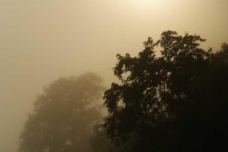 Couple Flee Burning Home