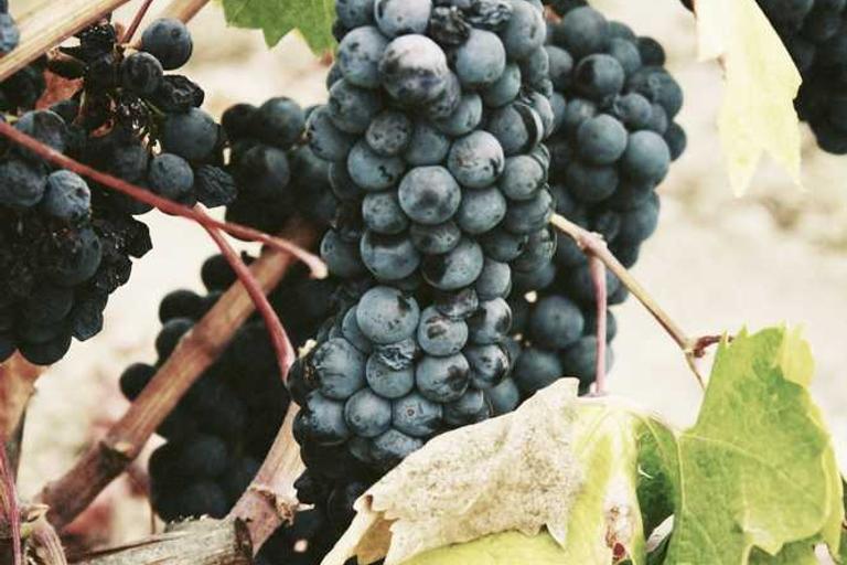 Power Over Law, UN Says