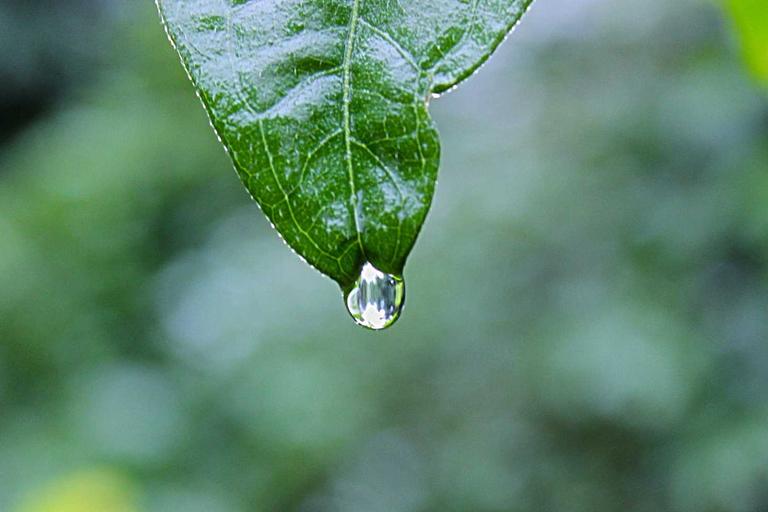 Bullying Surge Prompts School Safeguards